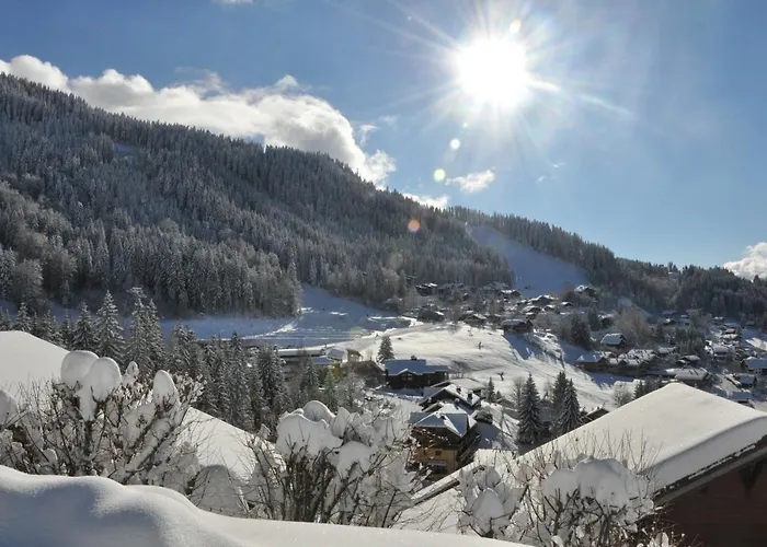 Centre Carroz Ca210 Lejlighed *